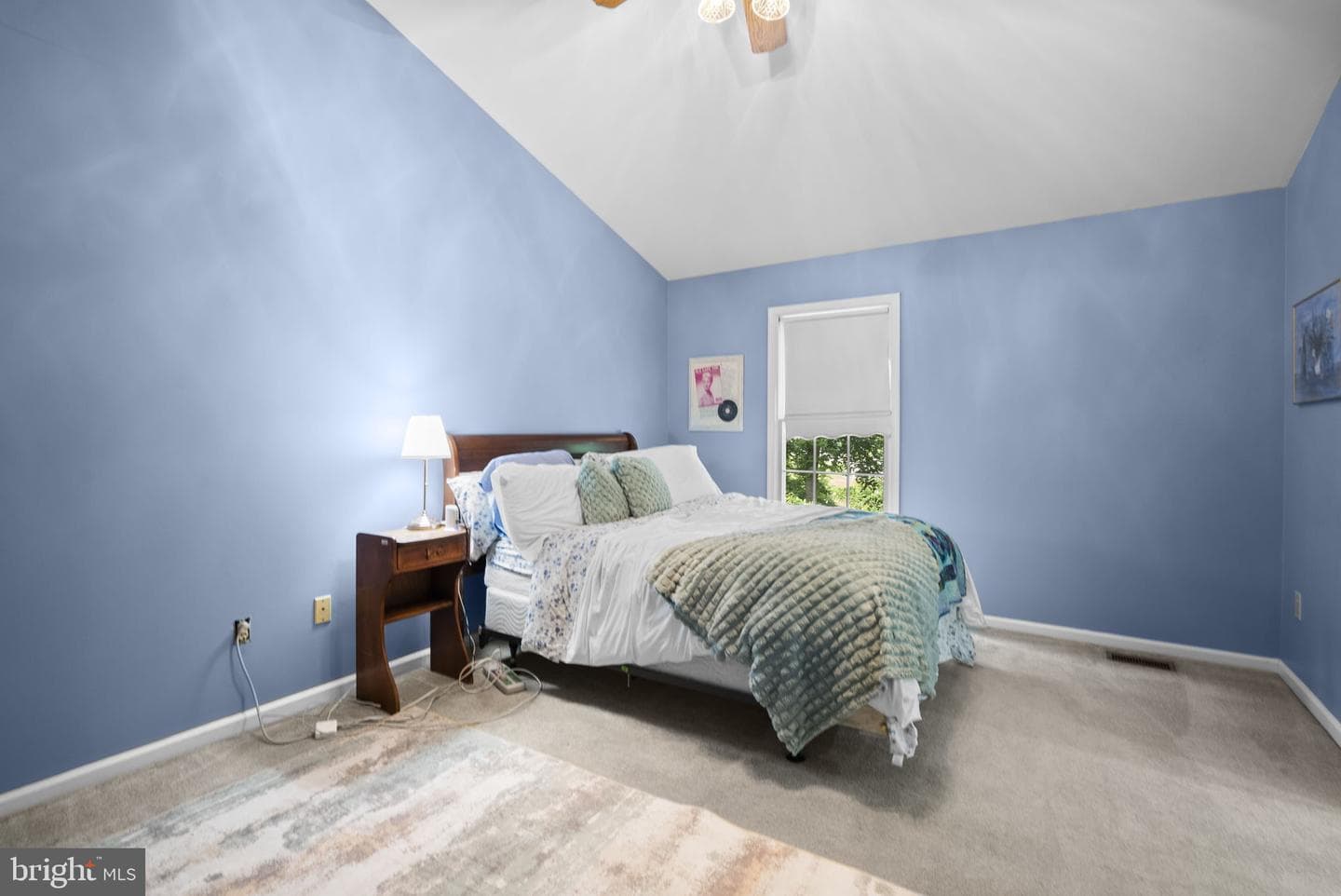 8710 Birkenhead Court photo 17