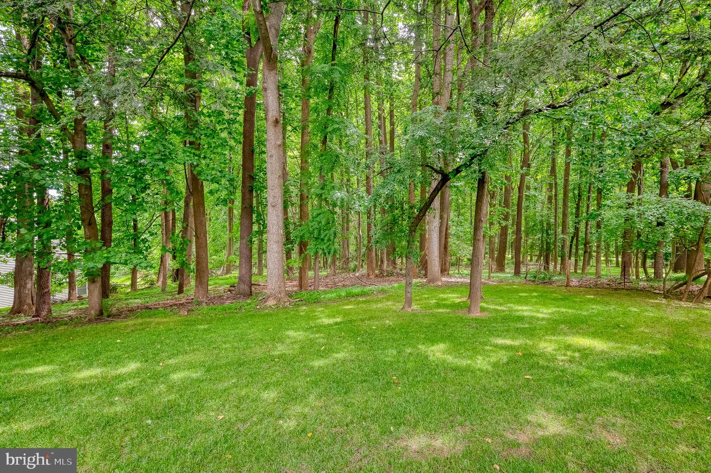 9724 Robert Jay Way photo 60