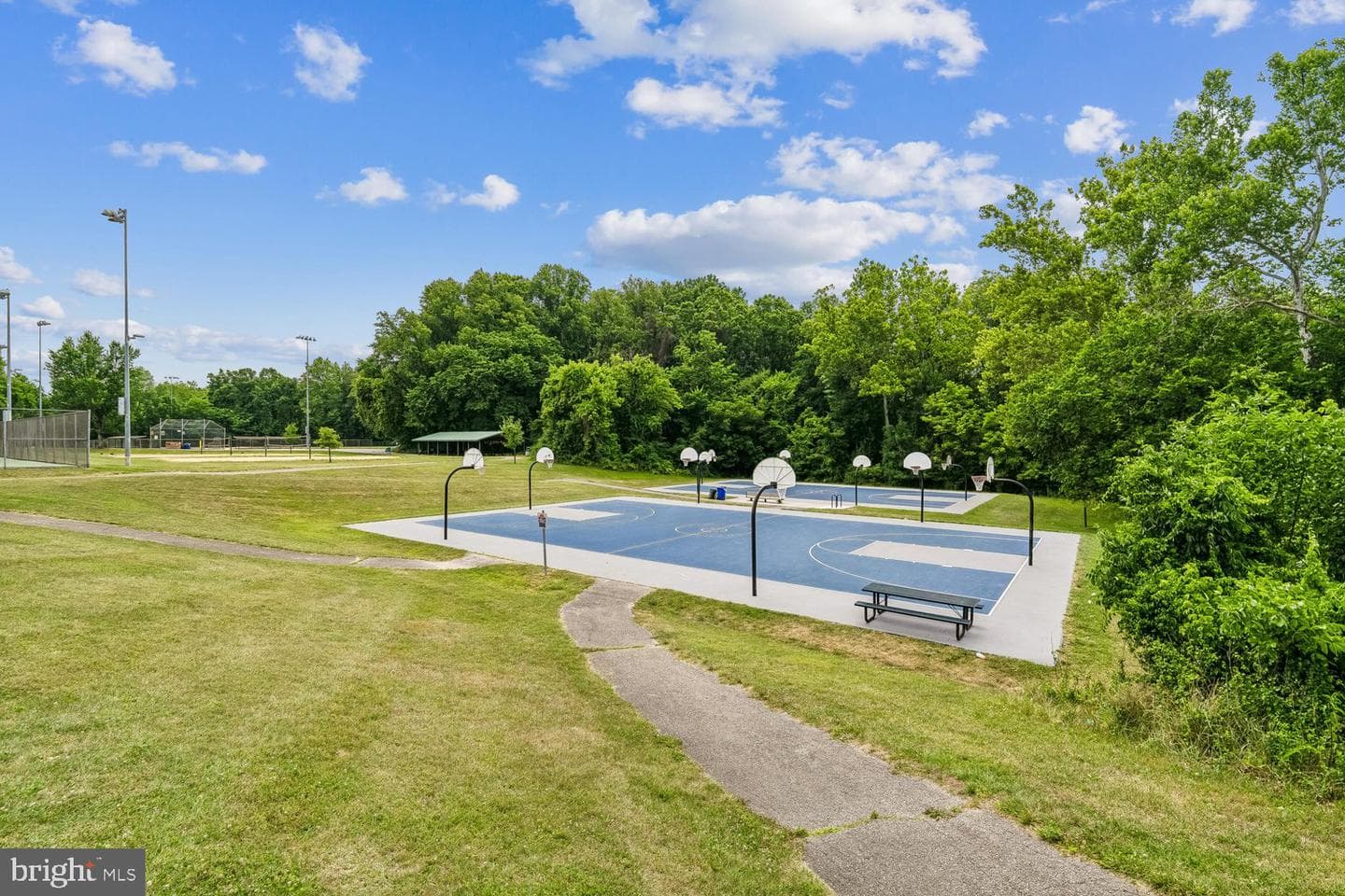 8044 Red Jacket Way photo 71