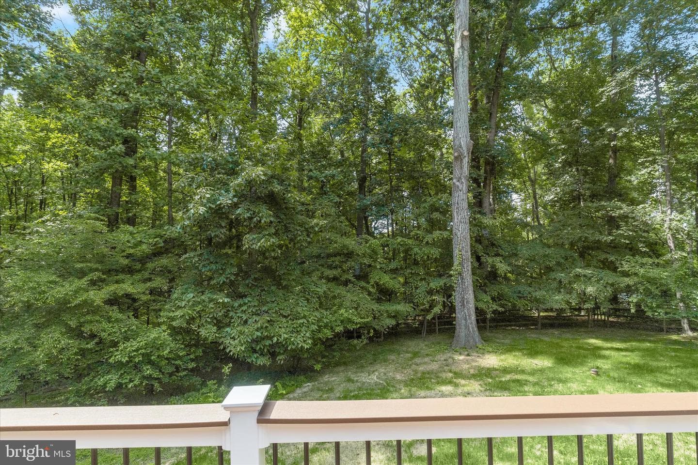 6531 River Clyde Drive photo 61