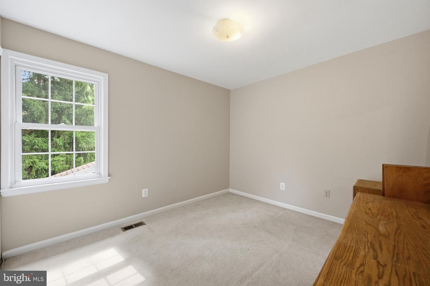 4945 Reedy Brook Lane photo 15