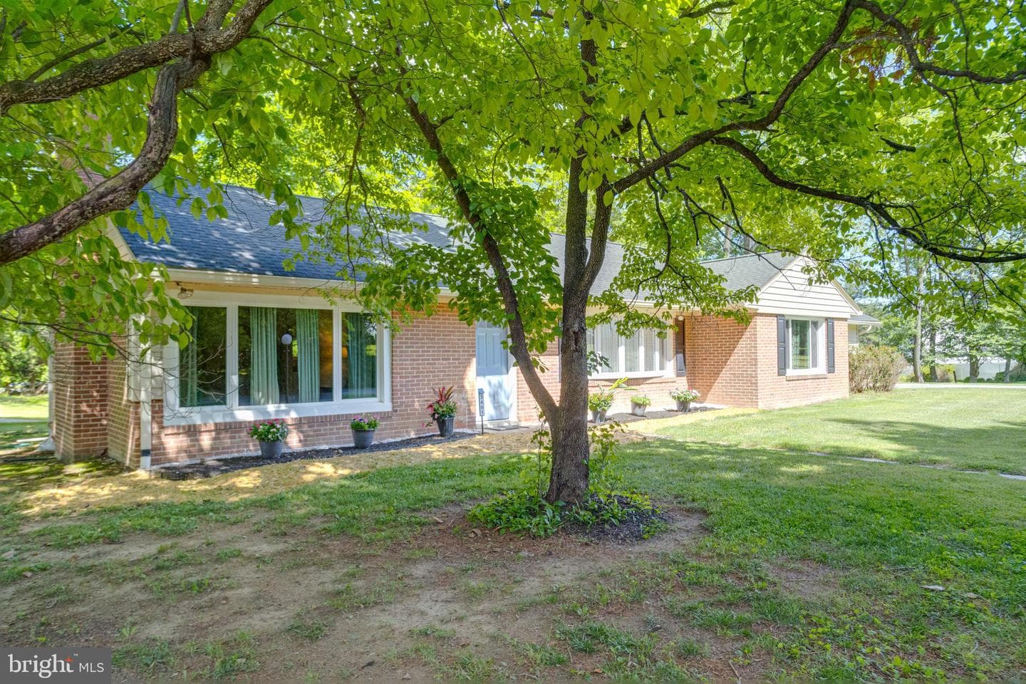 3401 Dogwood Drive photo 2
