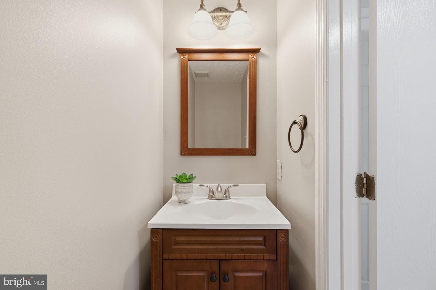 10893 Olde Woods Way photo 19