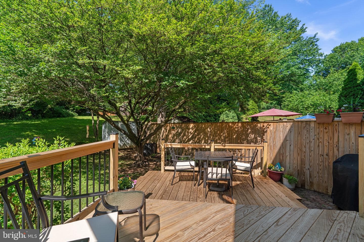 10893 Olde Woods Way photo 38