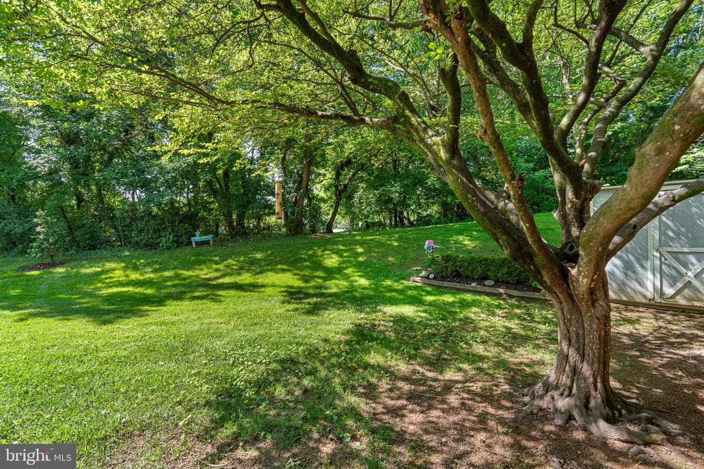 10893 Olde Woods Way photo 44