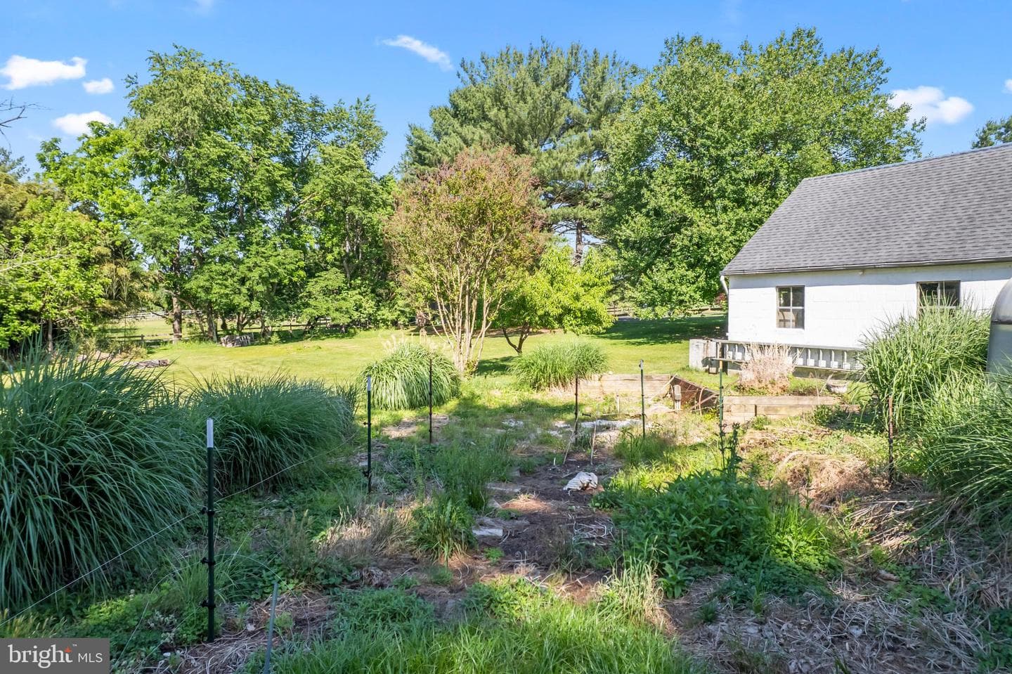 2311 Daniels Road photo 56