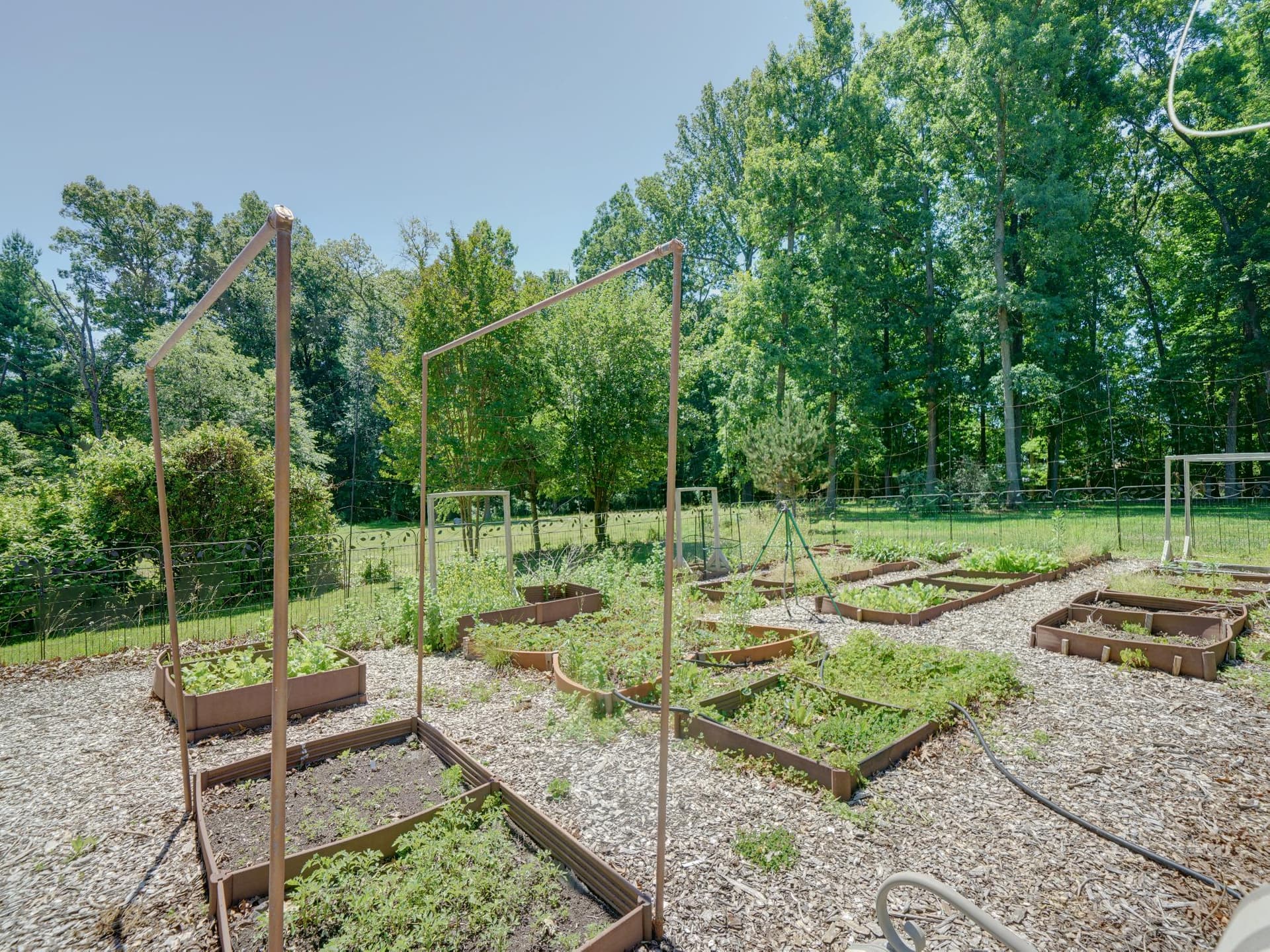 12351 Scaggsville Road photo 33