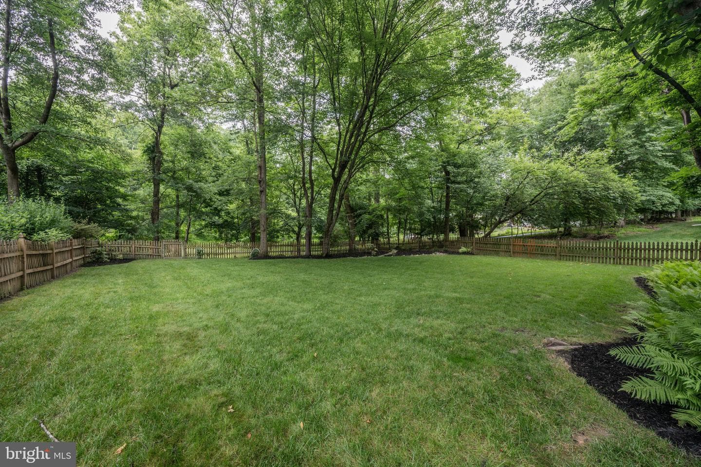 4237 Red Bandana Way photo 52