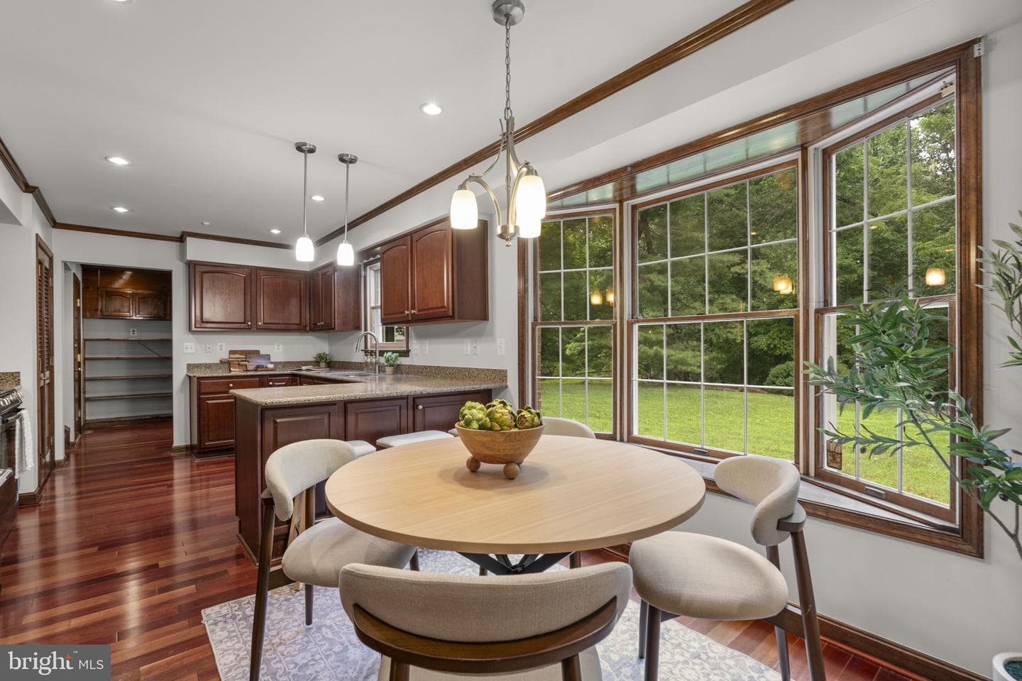 10054 Green Clover Drive photo 16