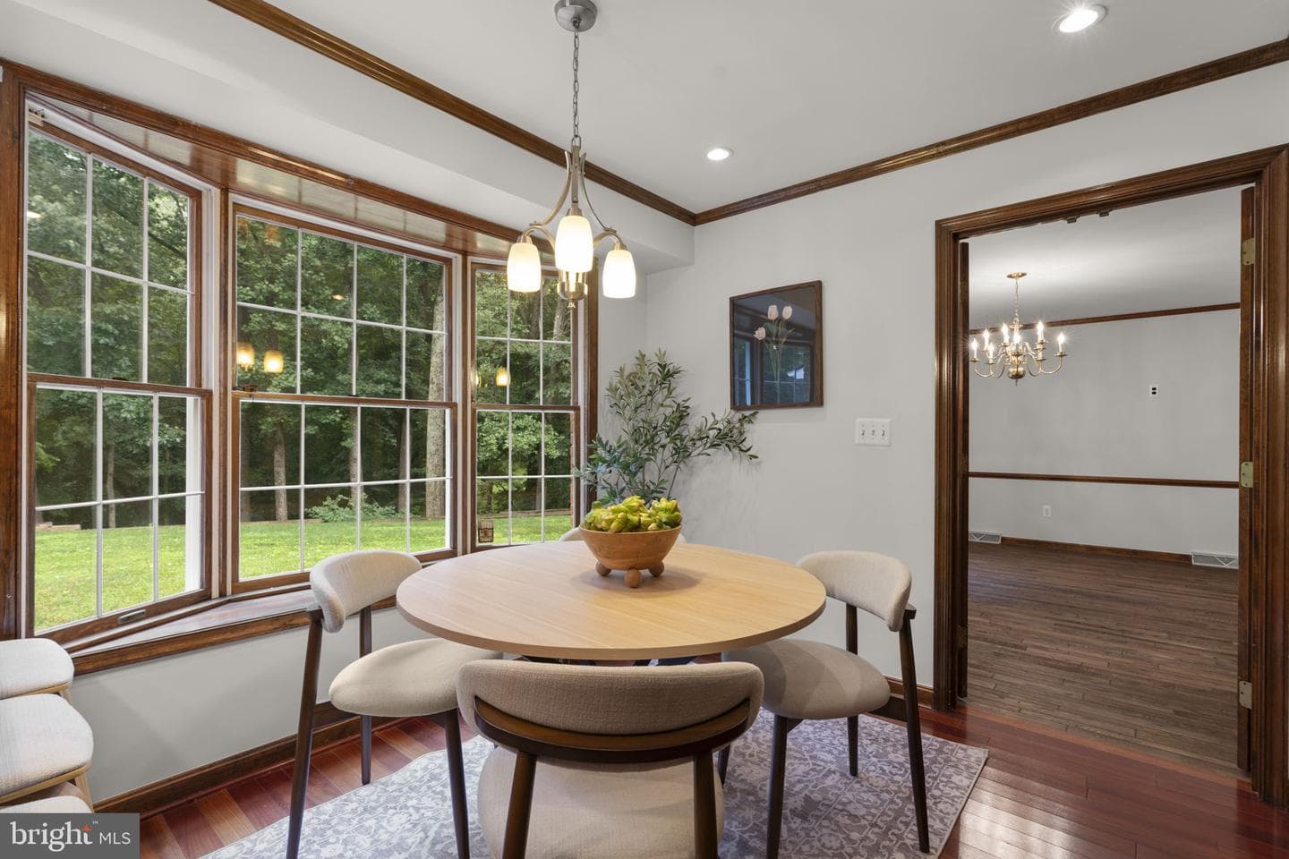 10054 Green Clover Drive photo 17