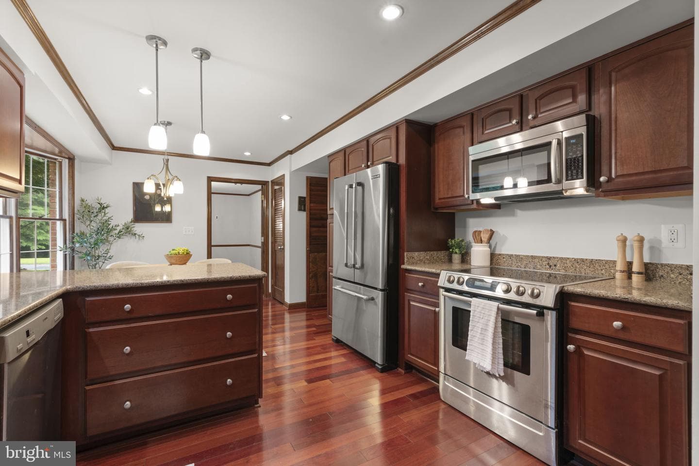 10054 Green Clover Drive photo 18