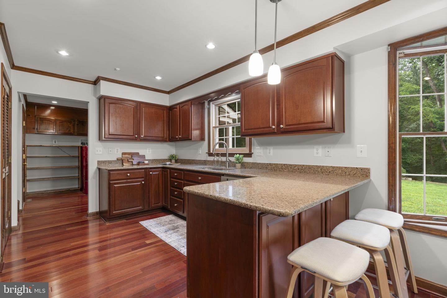 10054 Green Clover Drive photo 19