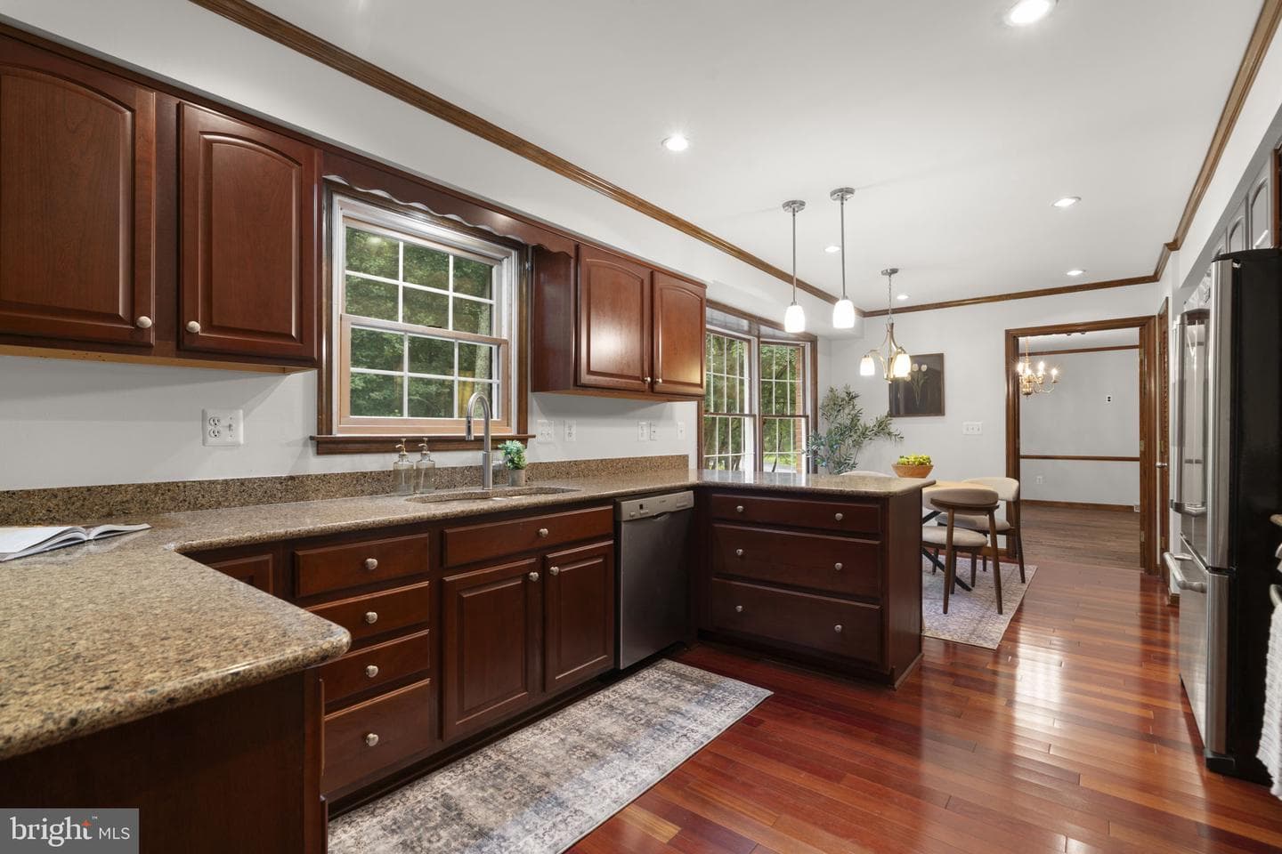 10054 Green Clover Drive photo 20