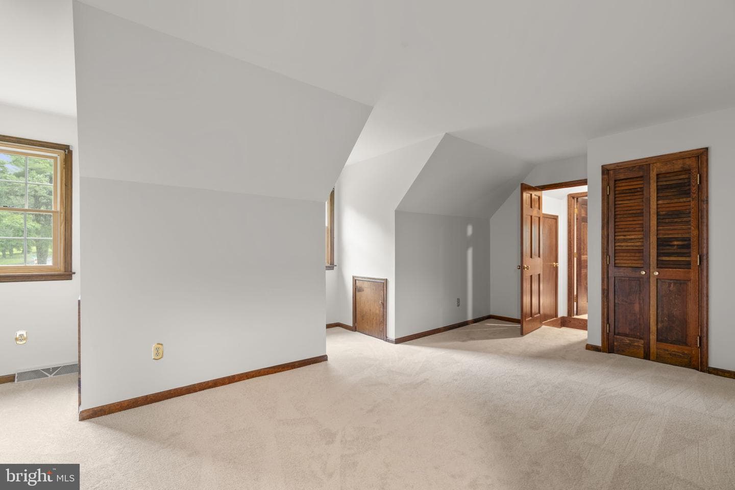 10054 Green Clover Drive photo 39