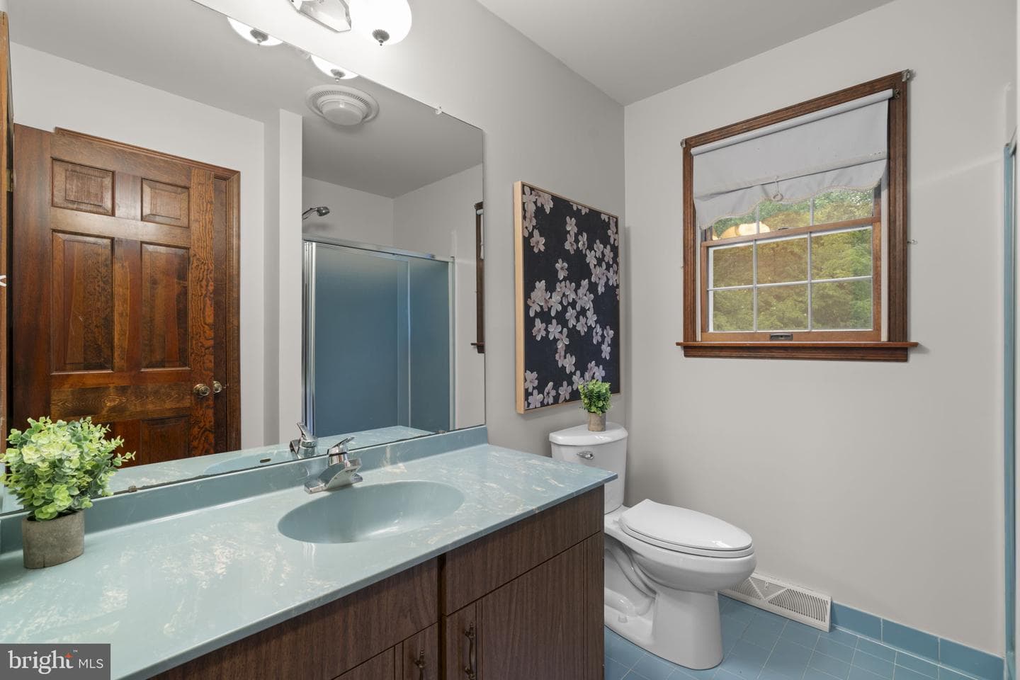 10054 Green Clover Drive photo 42