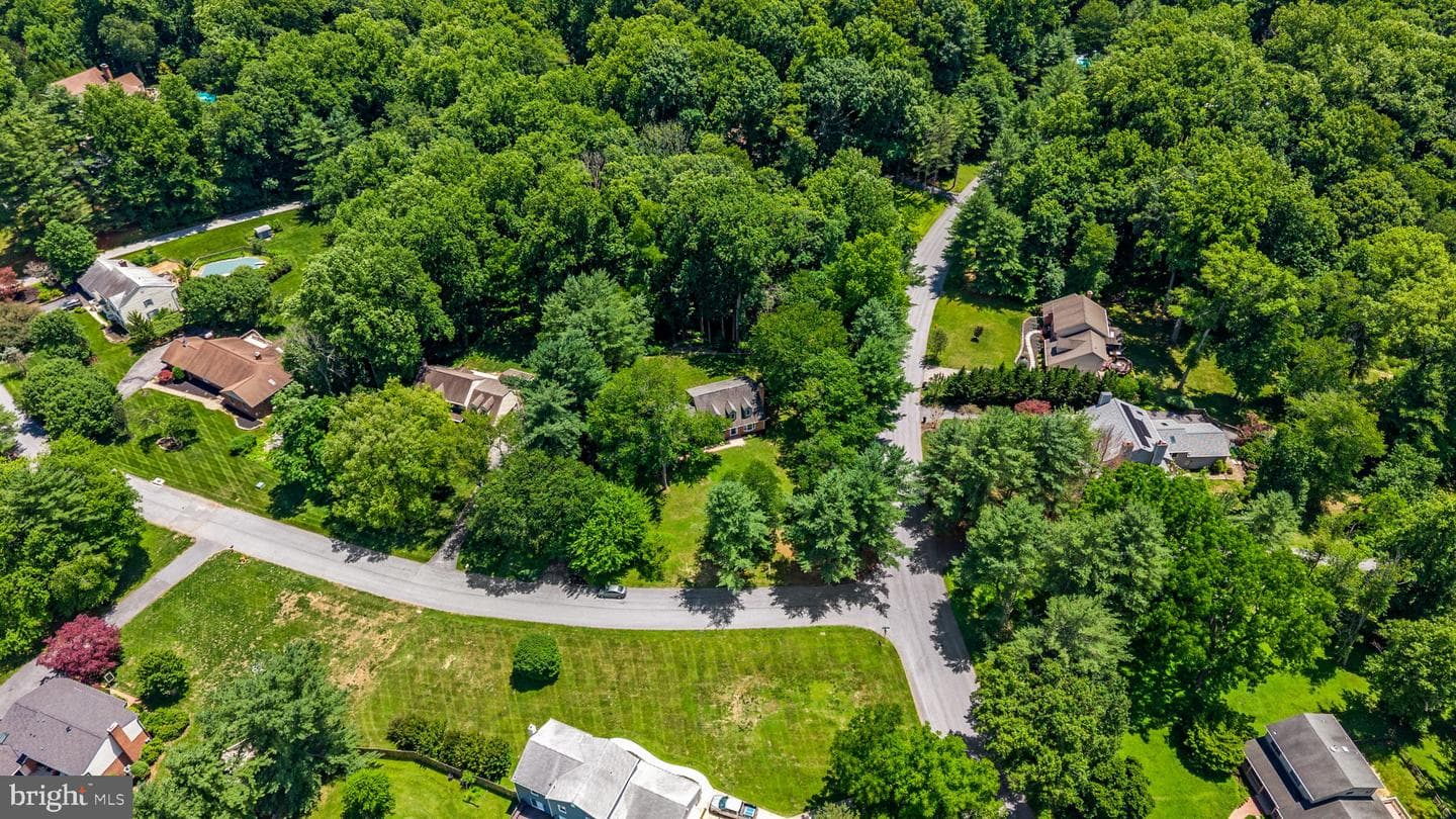10054 Green Clover Drive photo 54