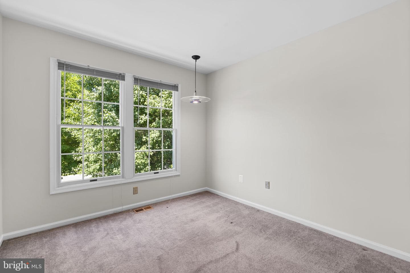 10339 Waverly Woods Drive photo 52