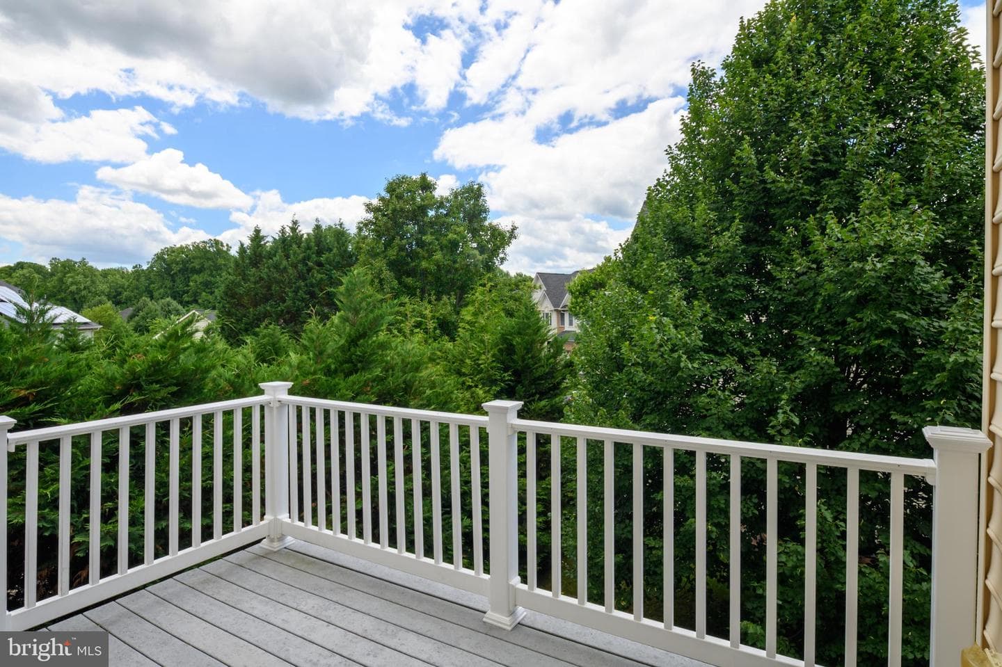 8114 Winding Ross Way photo 44