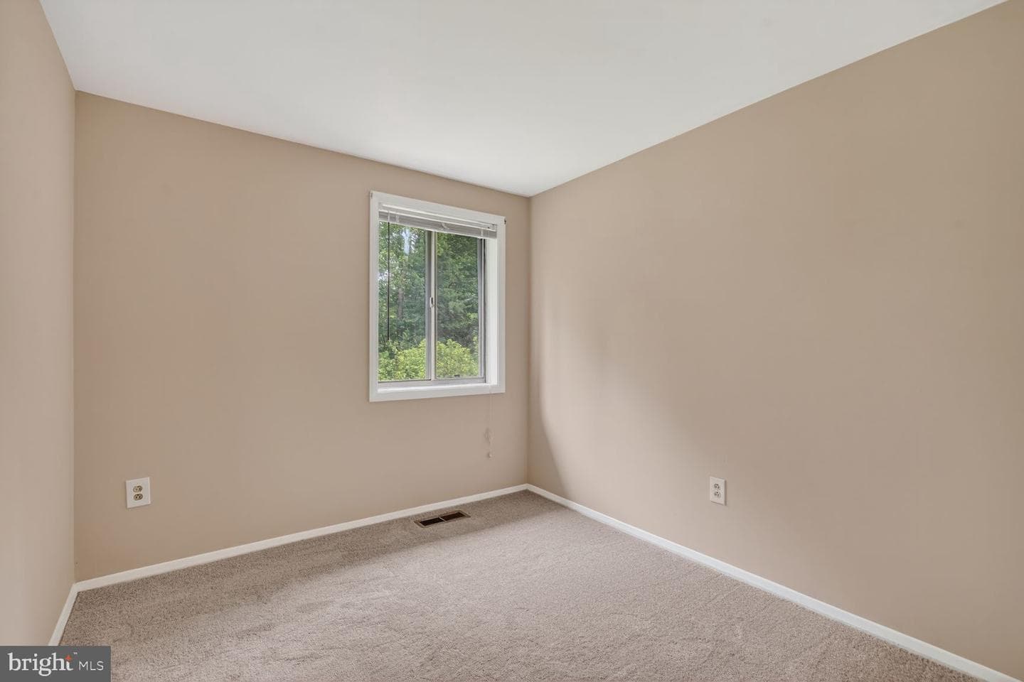 6584 Sweet Fern photo 16