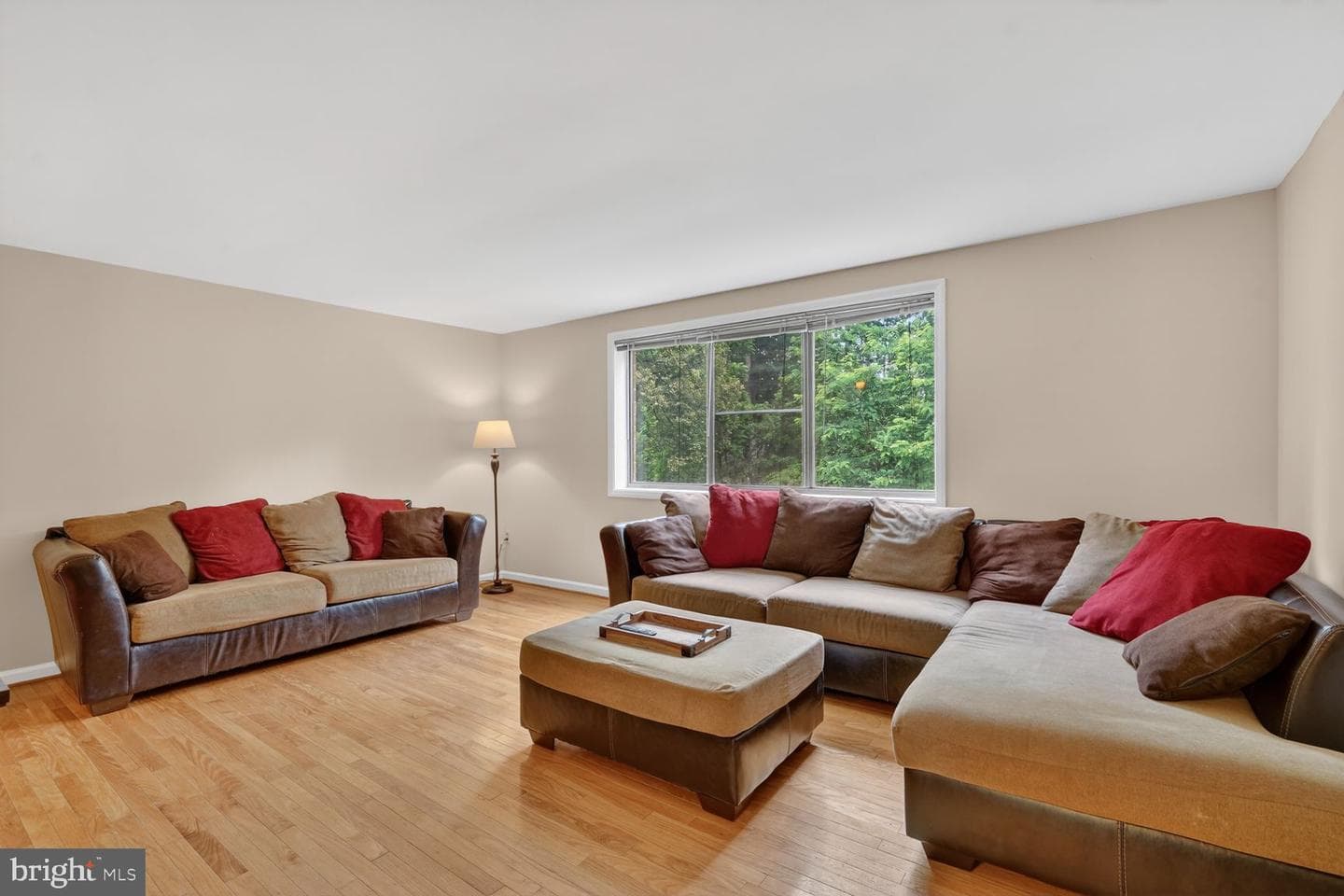 6584 Sweet Fern photo 8