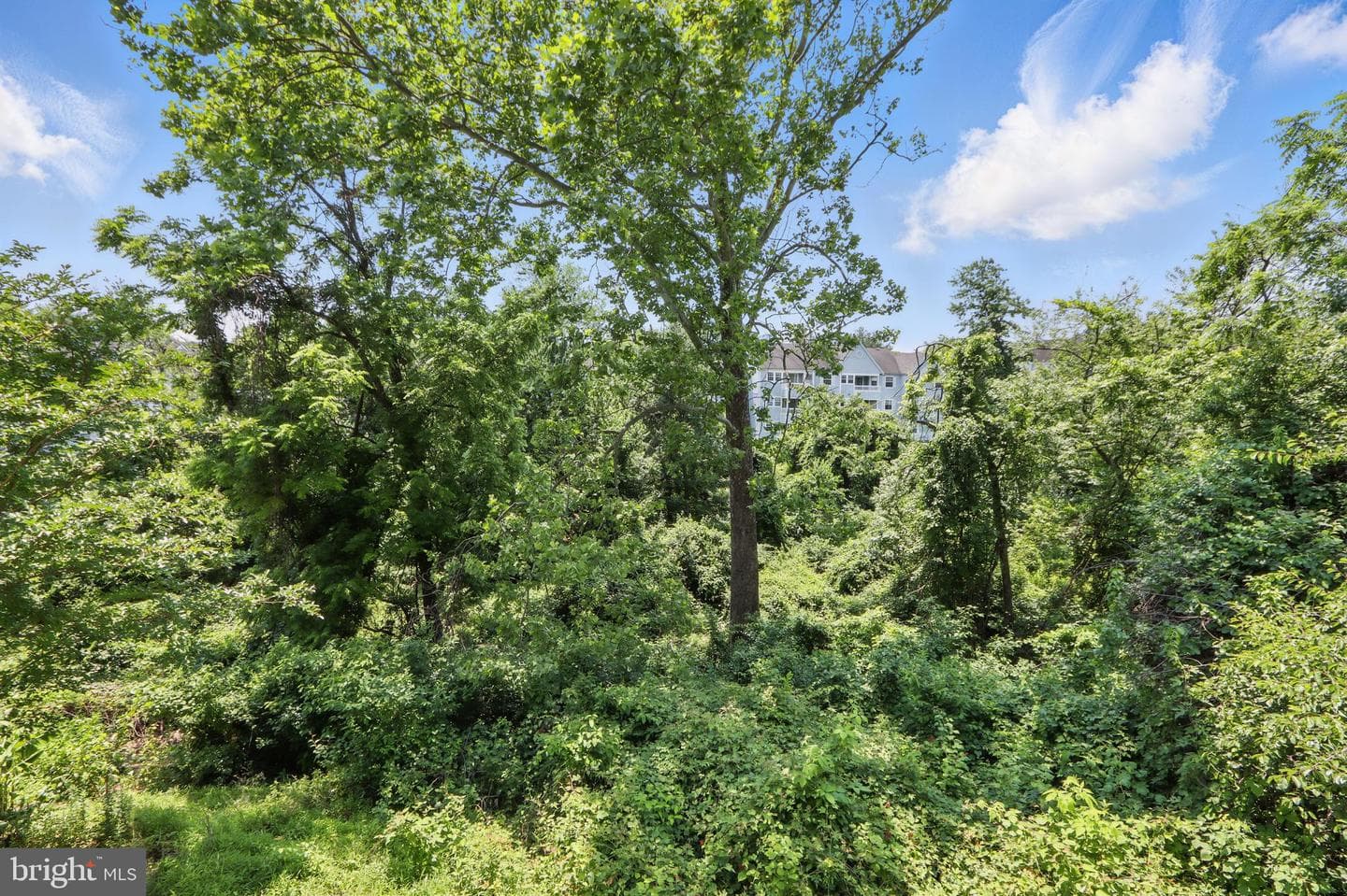 8585 Falls Run Road #g photo 26