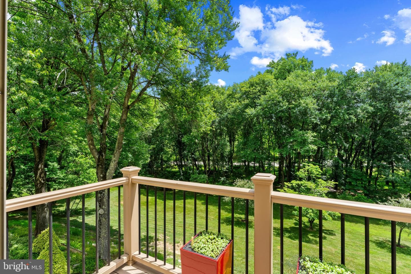 10821 Braeburn Road photo 54