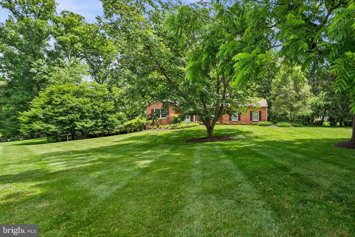 3525 Font Hill Drive photo 42