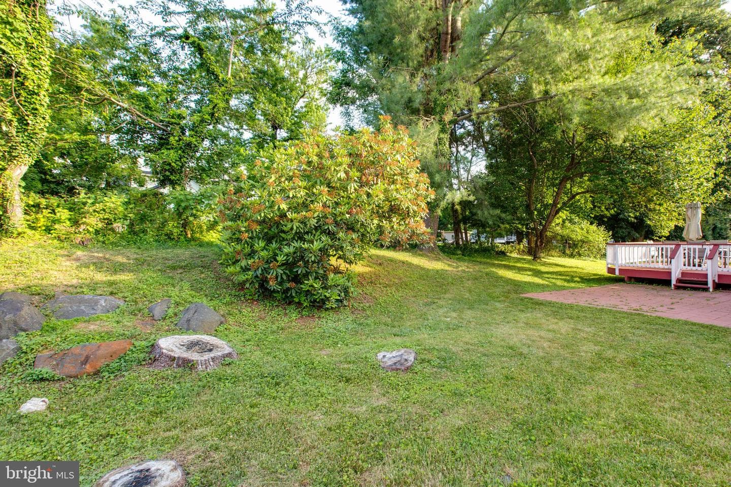 4309 Temora Manor Lane photo 68