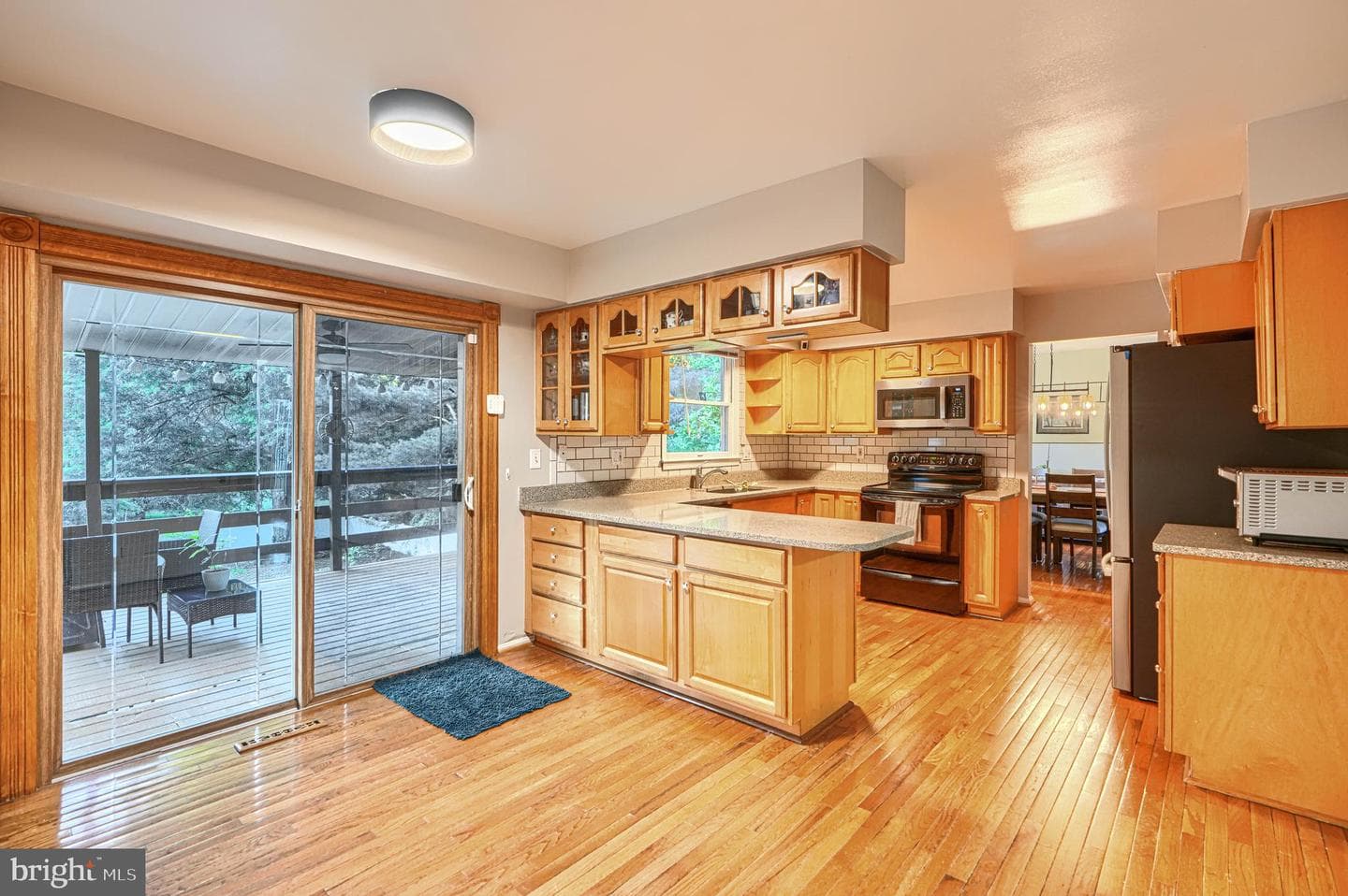 10048 Century Drive photo 16