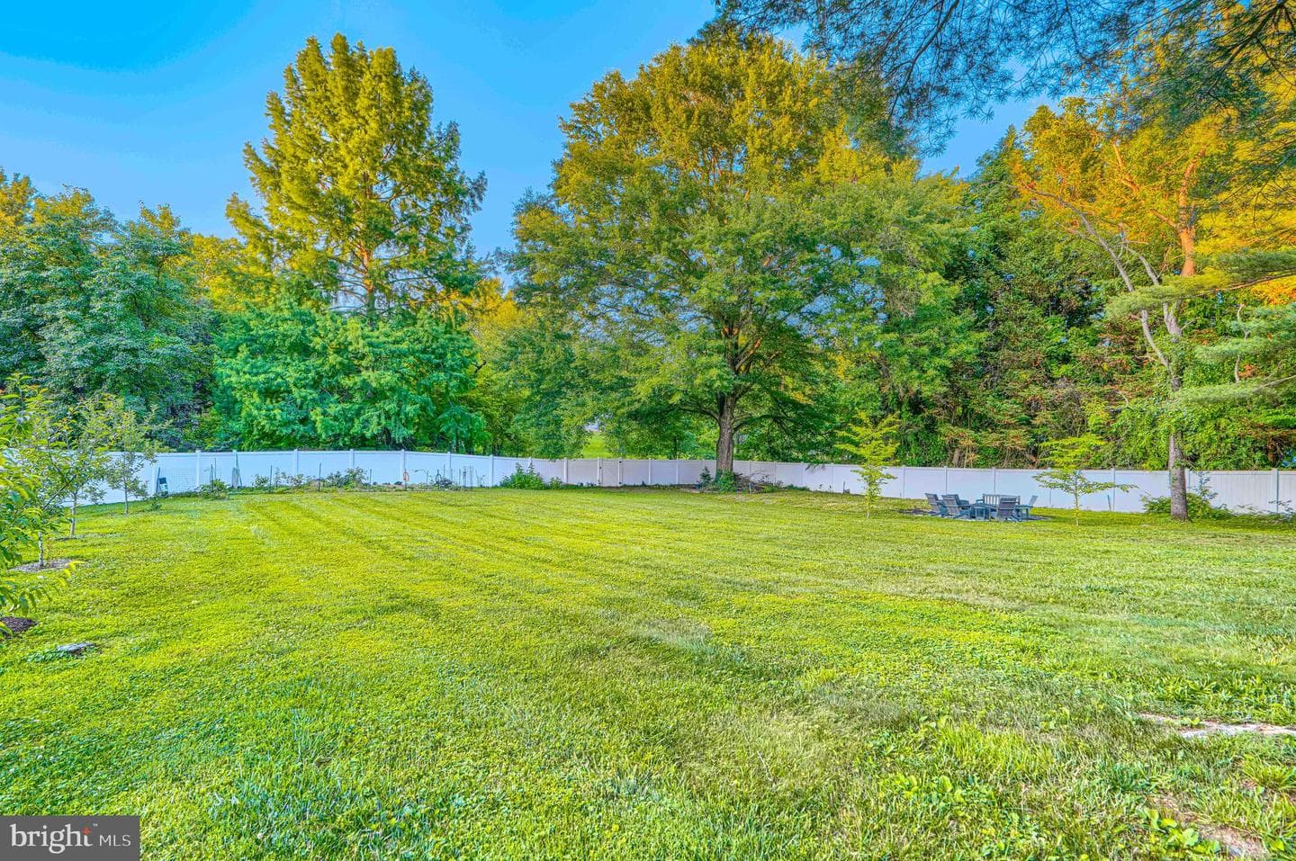 10048 Century Drive photo 50