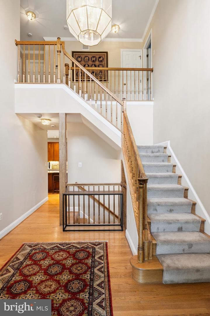 12074 Broad Meadow Ln photo 11