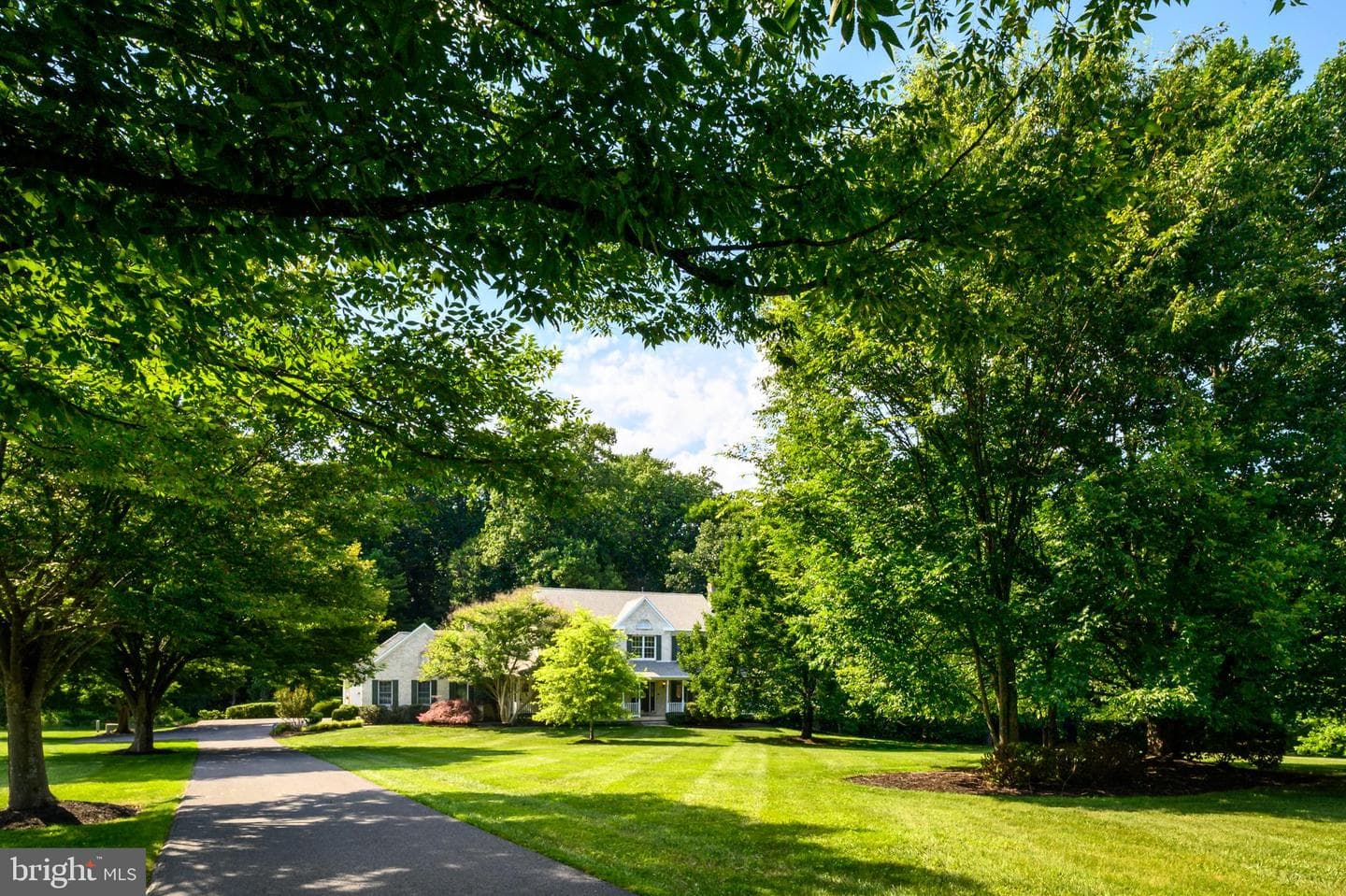12074 Broad Meadow Ln photo 4