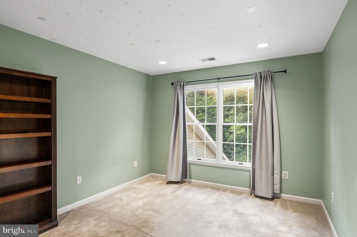 12074 Broad Meadow Ln photo 40