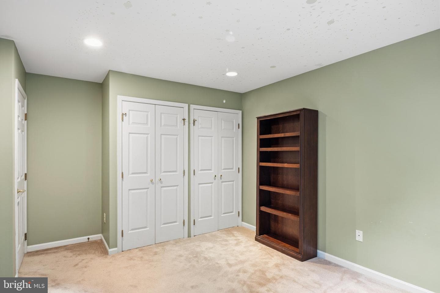 12074 Broad Meadow Ln photo 41