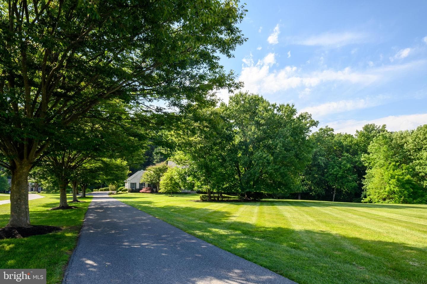 12074 Broad Meadow Ln photo 5