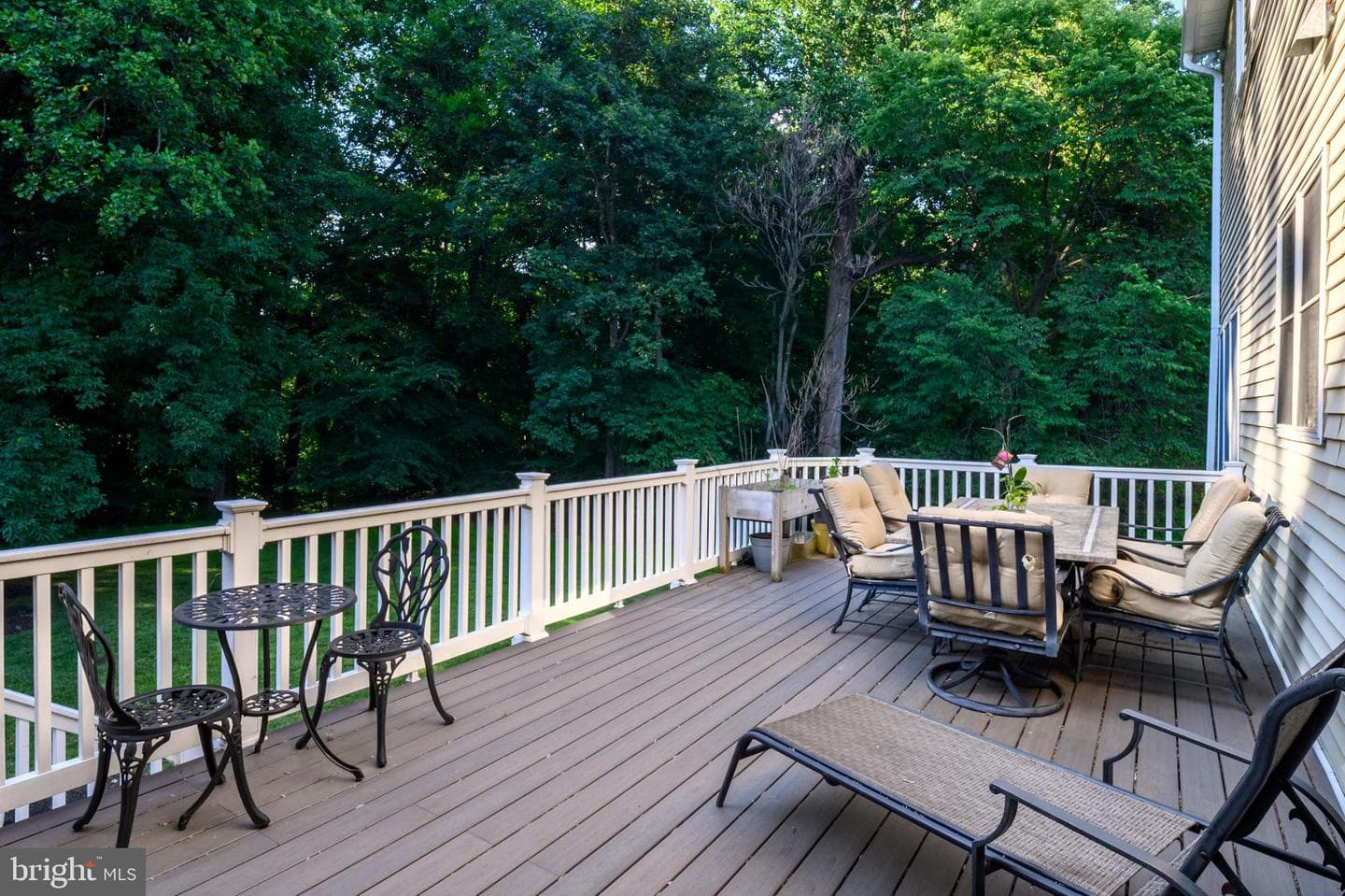12074 Broad Meadow Ln photo 54