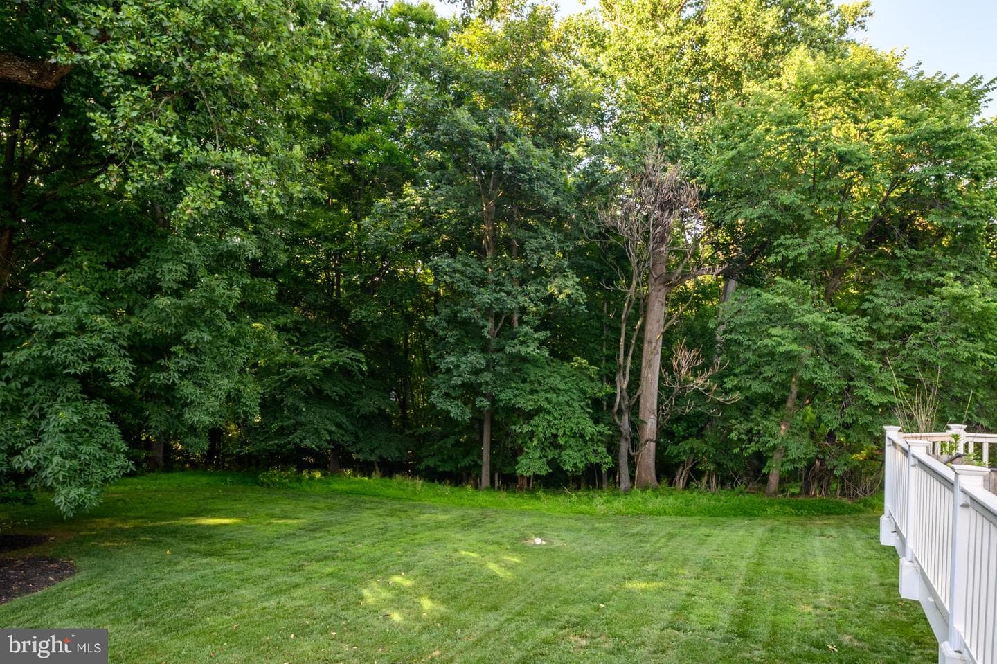 12074 Broad Meadow Ln photo 55
