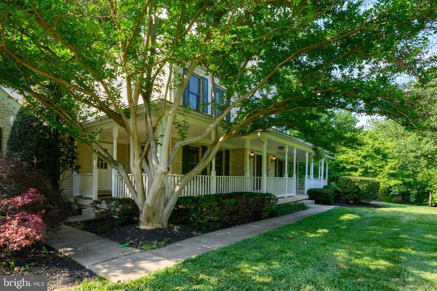 12074 Broad Meadow Ln photo 6