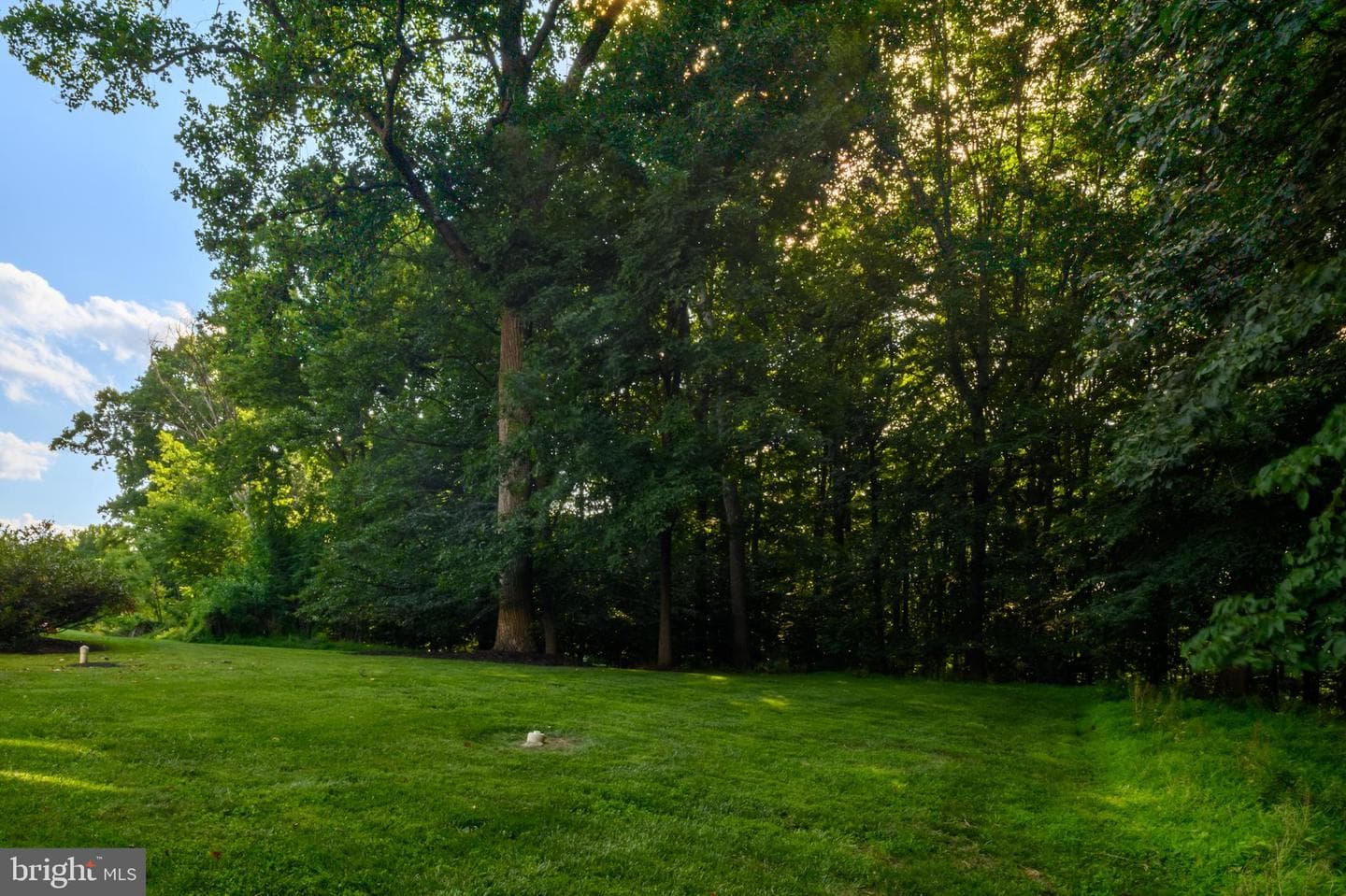12074 Broad Meadow Ln photo 61