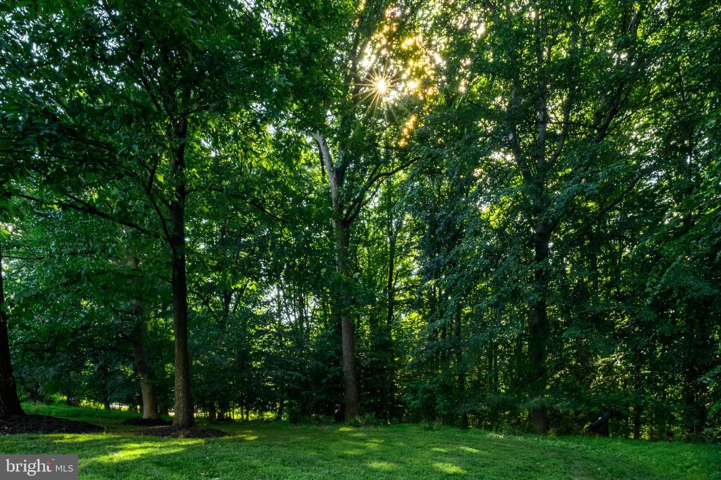 12074 Broad Meadow Ln photo 62