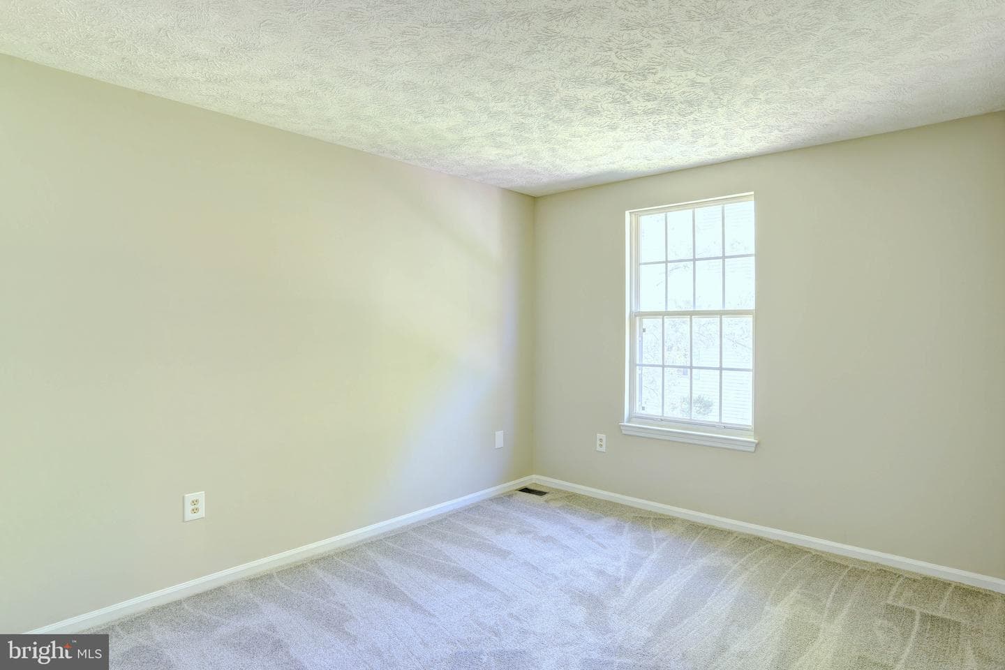 8315 Silver Trumpet Drive photo 18