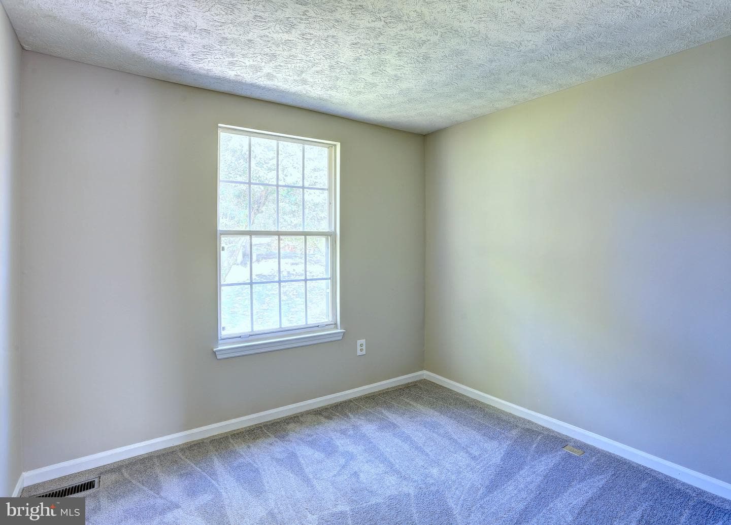 8315 Silver Trumpet Drive photo 21