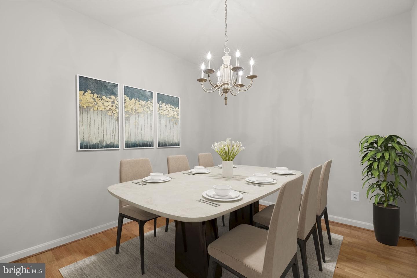 7315 Maplecrest Road #104 photo 14