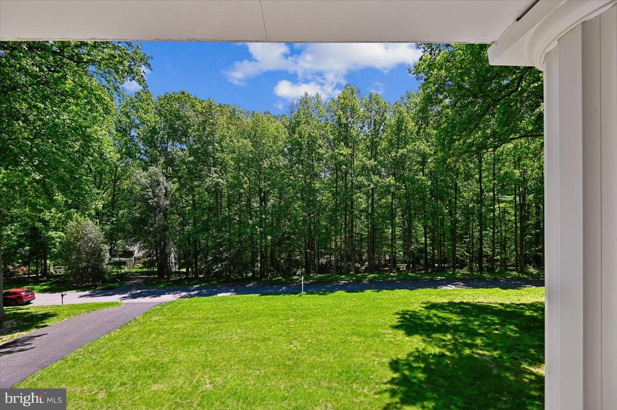 7302 Meadow Wood Way photo 7