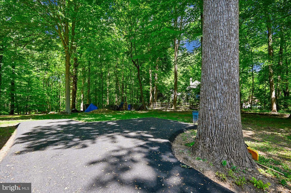 7302 Meadow Wood Way photo 92