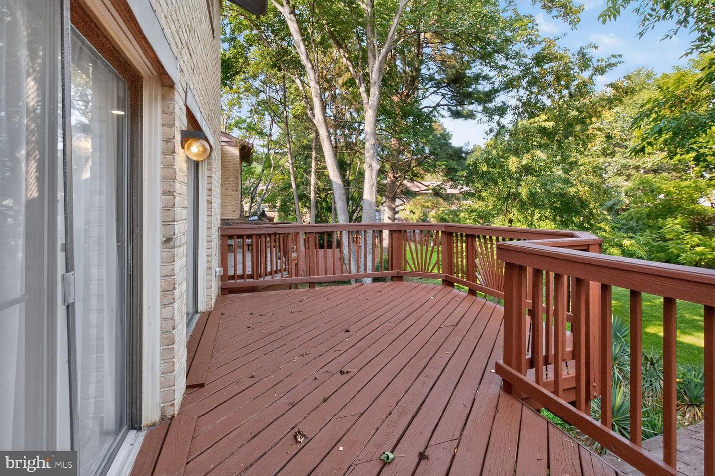 9251 Hobnail Court photo 22
