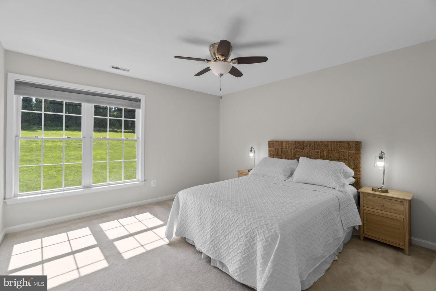 11119 Willow Green Way photo 35