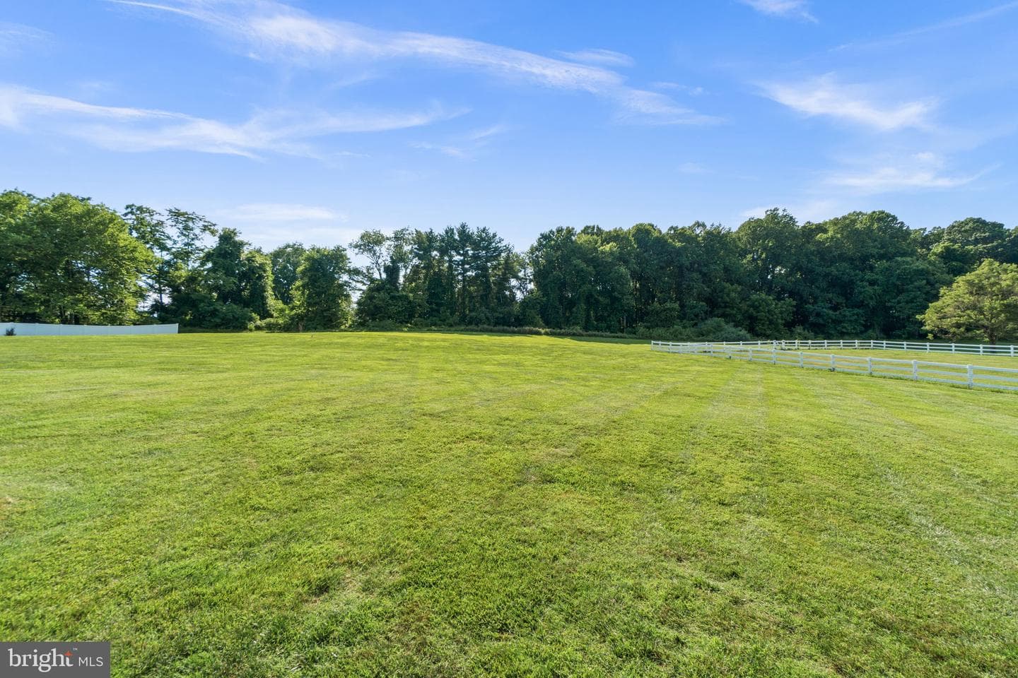 11119 Willow Green Way photo 56
