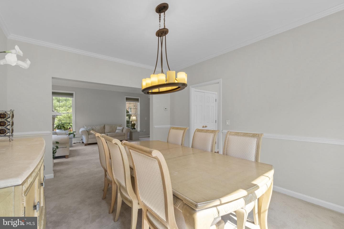 11119 Willow Green Way photo 8