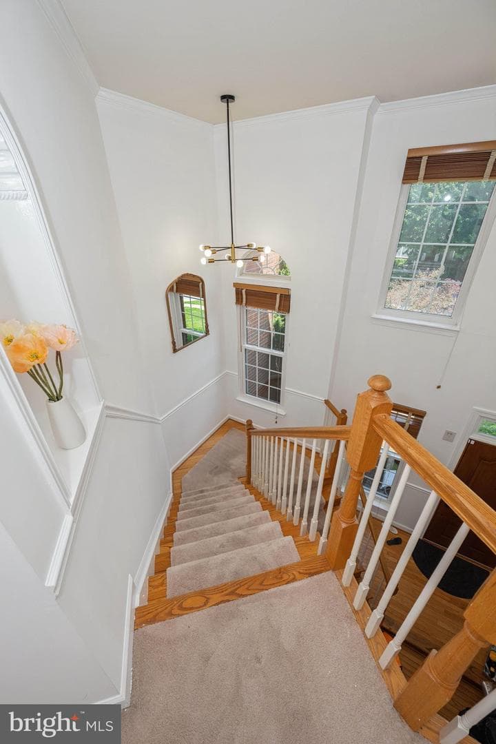 10728 Cottonwood Way photo 28